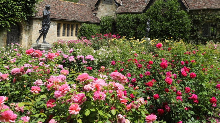 Pink, red, yellow and white roses blooming in the garden with two statues at Anglesey Abbey